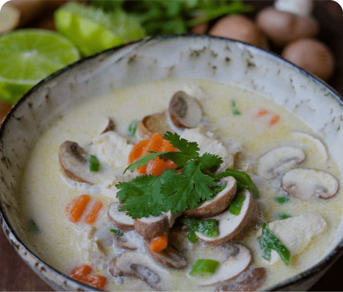 Kokosmilch-Suppe Chicken